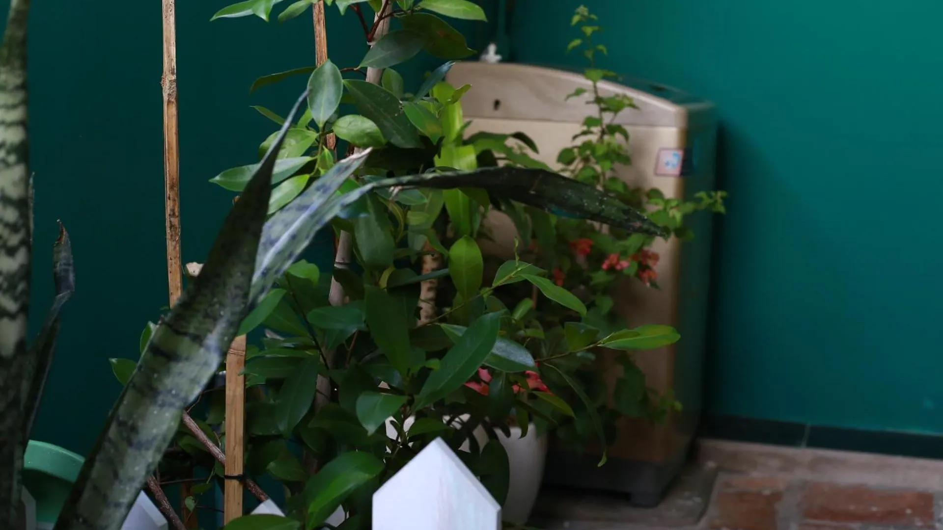 Lala Home 95 Pasteur Ho Či Minovo Město Apartmán